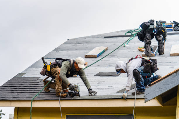 Professional Gutter Installation technician working in Durant, MS